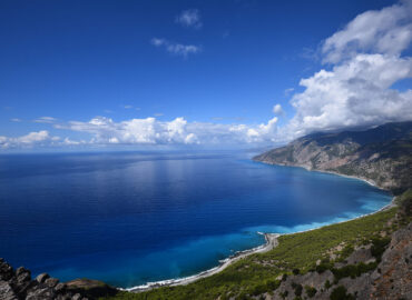 Helicopter Tours